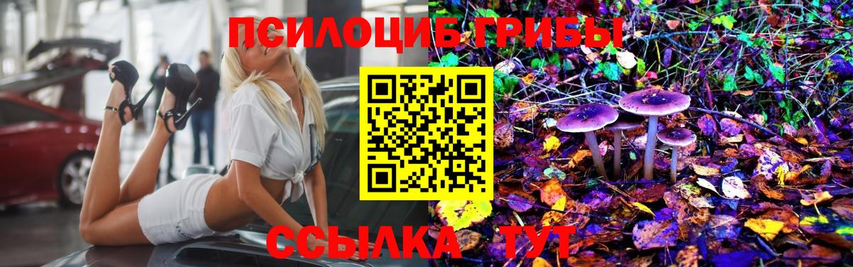 Галлюциногенные грибы Psilocybine cubensis Туапсе